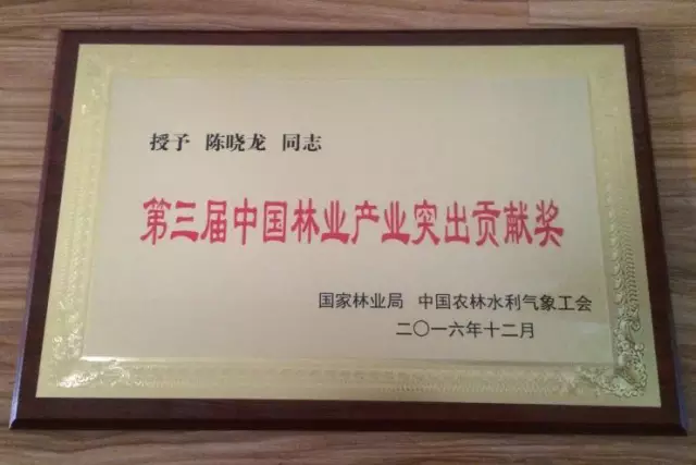 胜天国际