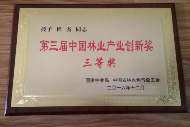 胜天国际